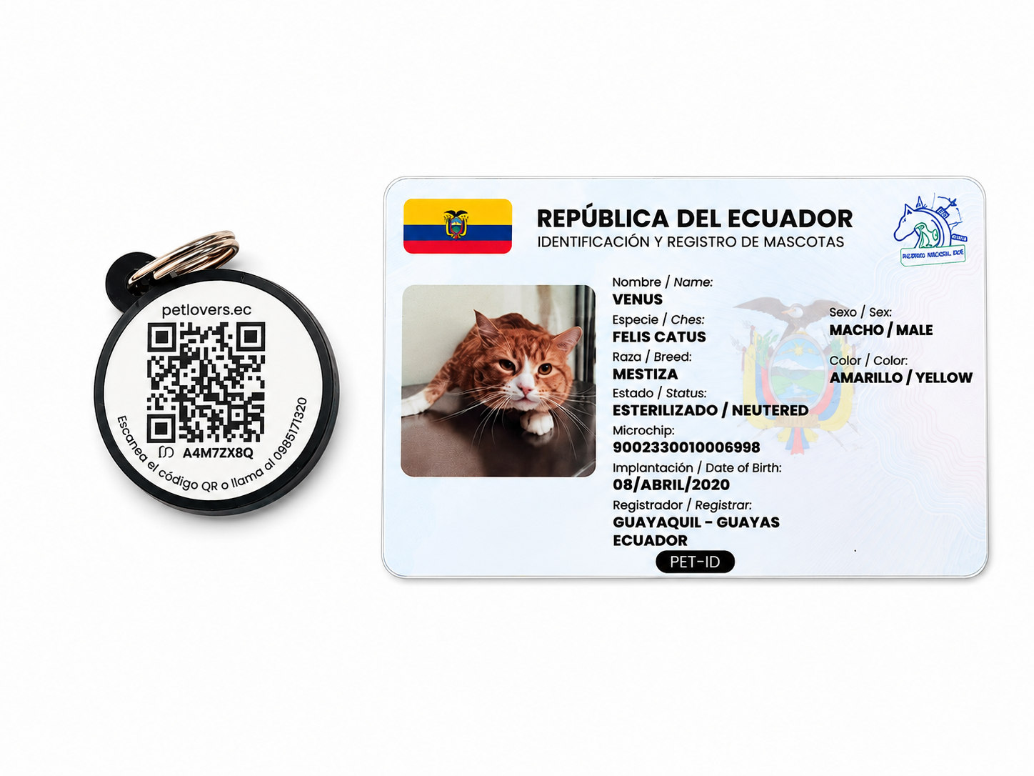 Kit de Identificación de Mascota