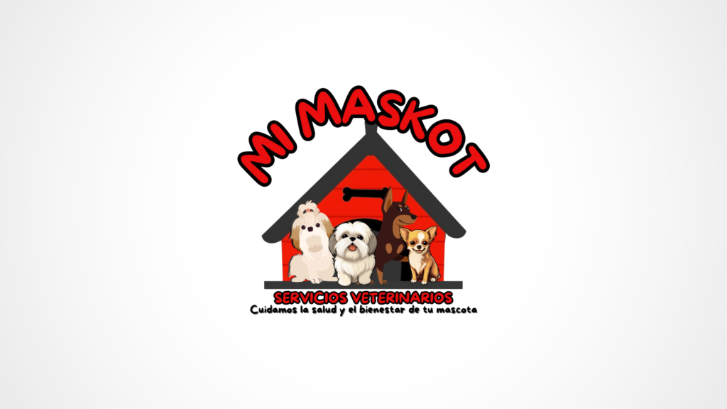 Testimonio MI MASKOT