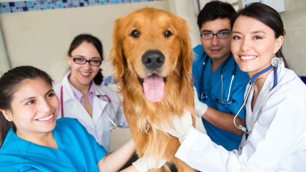 Estrategias para Gestionar y Fomentar Reseñas en Línea para tu Clínica Veterinaria