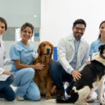 Mejorando la Colaboración en el Manejo de Información en Nuestra Clínica Veterinaria