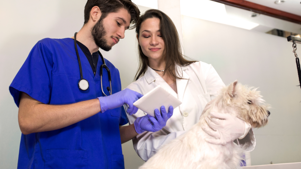 La Importancia de un CRM en tu Clínica Veterinaria