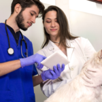 La Importancia de un CRM en tu Clínica Veterinaria