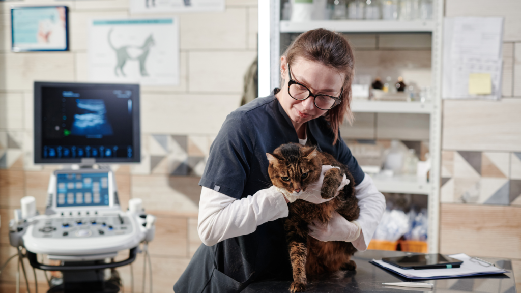 Cómo un Software Veterinario Puede Resolver los Mayores Desafíos de tu Clínica