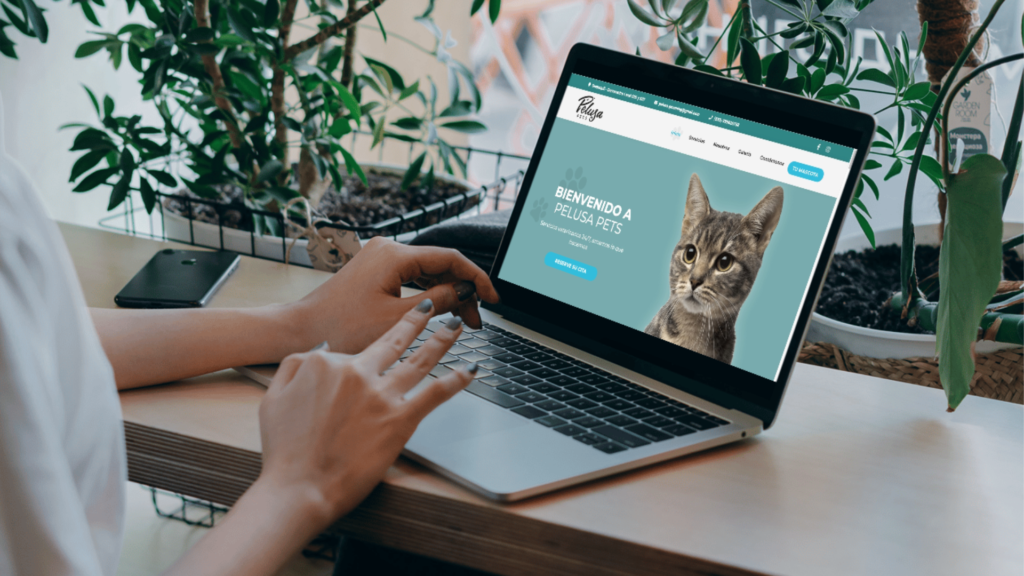 Transforma tu Clínica Veterinaria con una Página Web Profesional gracias a Petsadmin
