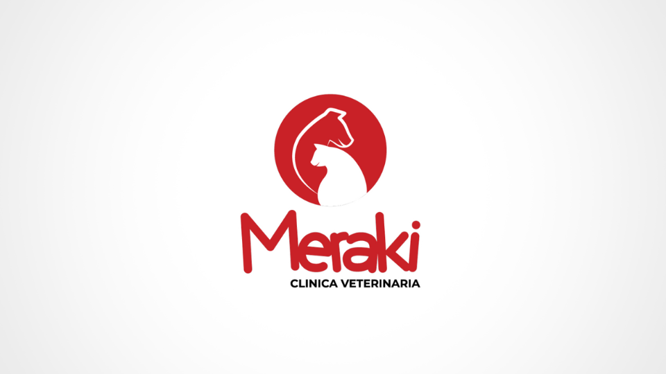 Testimonio Meraki